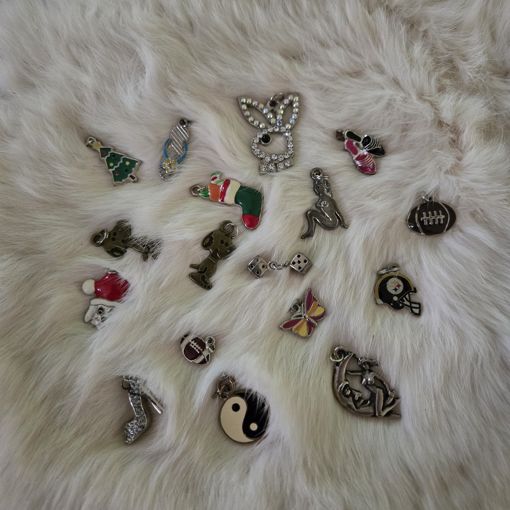 Lot Of 17 Assorted Silver and Colorful Charms